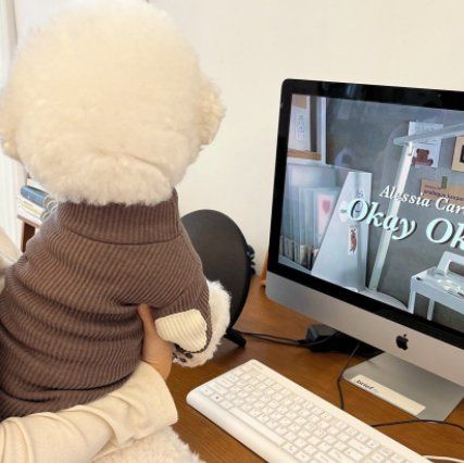 Base Shirt Dog Clothes Autumn Simplicity Clothes